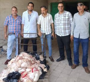 ضبط 242 كيلو لحوم فاسدة في سوهاج