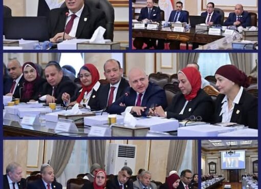 مجلس جامعة القاهرة