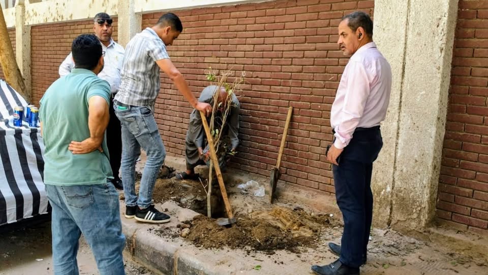 زراعة أشجار جديدة