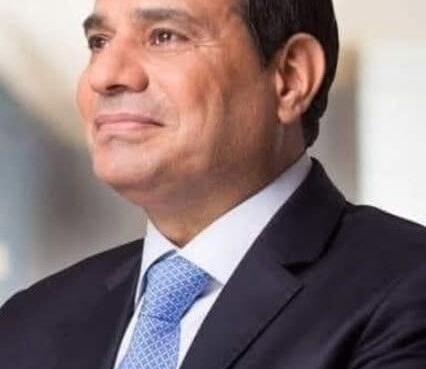 الرئيس عبد الفتاح السيسي