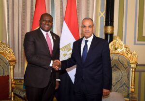 وزير الخارجية يلتقي وزير التعاون الدولي والتخطيط بجمهورية غينيا ويبحثان سبل تعزيز التعاون التنموي والاقتصادي
