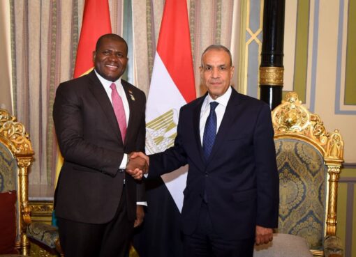 وزير الخارجية يلتقي وزير التعاون الدولي والتخطيط بجمهورية غينيا ويبحثان سبل تعزيز التعاون التنموي والاقتصادي