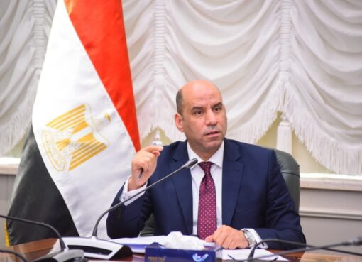 وزير العمل في ورشة بالتعاون مع منظمة العمل الدولية: نعمل على وضع إطار تشريعي وتنفيذي متكامل لحماية العمالة المنزلية تنفيذًا لتوجيهات الرئيس السيسي