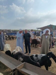تحصين 213 ألف رأس ماشية منذ انطلاق الحملة القومية الثانية ضد الحمى القلاعية وحمى الوادي المتصدع بالجيزة
