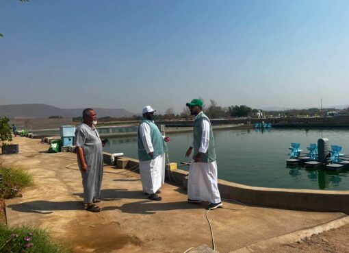 ‏"بيئة مكة" تتابع امتثال 4 مواقع للاستزراع السمكي بجدة