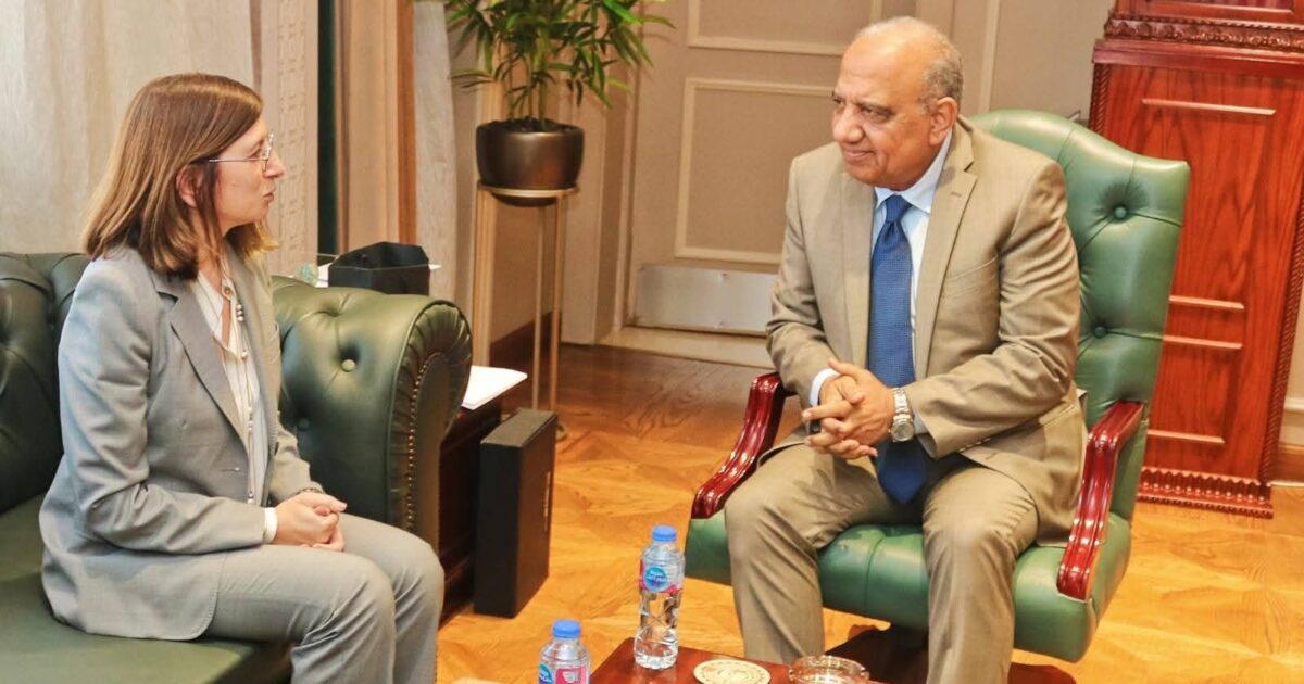 إستقبال وزير الكهرباء والطاقة المتجددة لسفيرة قبرص لدى القاهرة لبحث تعزيز التعاون والشراكة وزيادة الاستثمارات فى مجالات الكهرباء والطاقات المتجددة