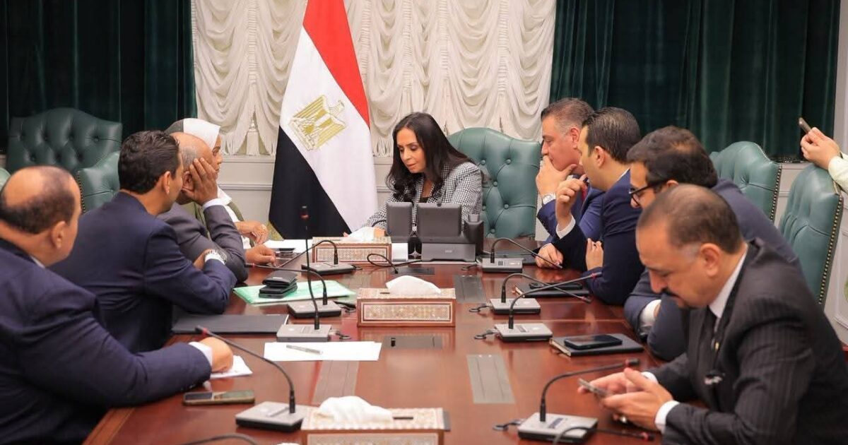 وزيرة التضامن الاجتماعي تلتقي عددًا من أعضاء مجلس النواب وتوجه بسرعة بحث وحل مشكلاتهم