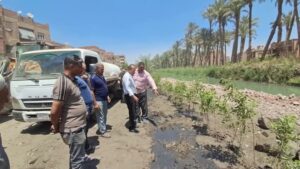 ضمن جهود التوسع في المساحات الخضراء ..زراعة ٤٥٥٠ شجرة بنطاق مركز ومدينة أبو النمرس 