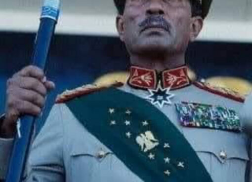 حفيد من احفاد الفراعنه العظماء بطل من ابطال حرب اكتوبر البواسل