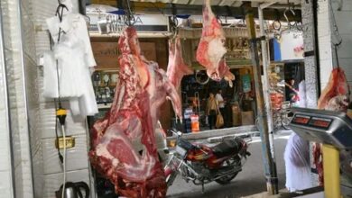 محافظ الغربية يتفقد منفذي بيع اللحوم بحي أول طنطا المنافذ توفر اللحوم الطازجة بأسعار مخفضة