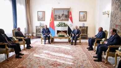 السيد الرئيس يستقبل الرئيس الأرتيرى على هامش قمة دول جوار السودان