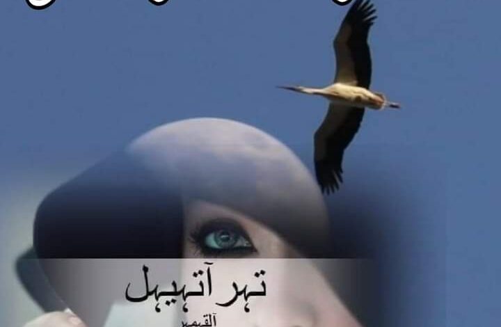 القوة الناعمة