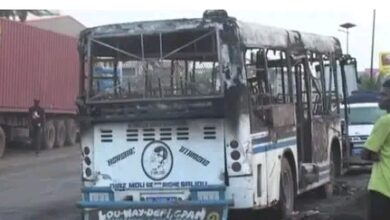 " ليلي الهمامي " تدين هجوم على حافلة بالسنغال وتصفه بالعمل الإرهابي