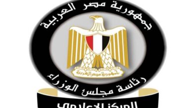 وضع إجراءات جديدة لدخول مصر