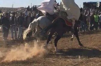 الإعلام الفرنسي وكابوس ثورة التحرير الجزائرية