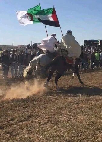 الإعلام الفرنسي وكابوس ثورة التحرير الجزائرية