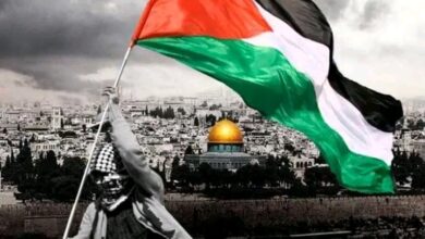 " ليلي الهمامي " تؤكد ان الشعب الفلسطيني مازال يواجه اثار بلفور المشؤوم في الذكرى الـ 106