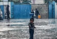 سوء الأحوال الجوية بقطاع غزة تسبب فى مغادرة منازلهم ونزحوا إلى الخيام والمدارس