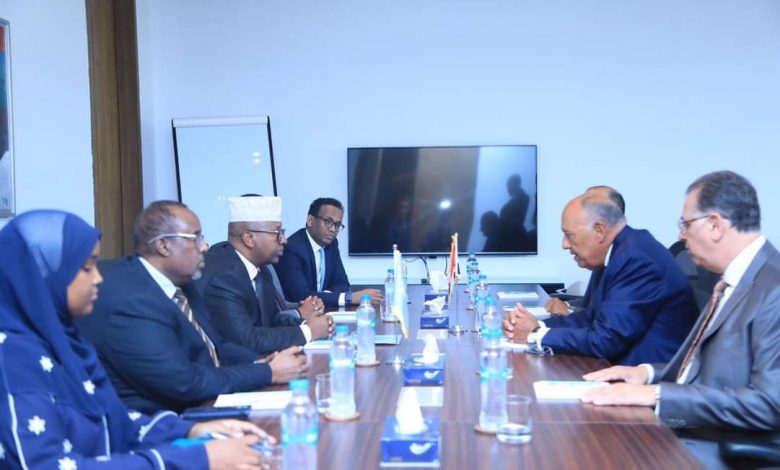 وزير الخارجية الصومالي يلتقي نظيره المصري