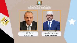 وزير خارجية الصومال يهنئ وزير الخارجية المصري بمناسبة منصبه الجديد