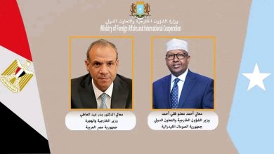 وزير خارجية الصومال يهنئ وزير الخارجية المصري بمناسبة منصبه الجديد