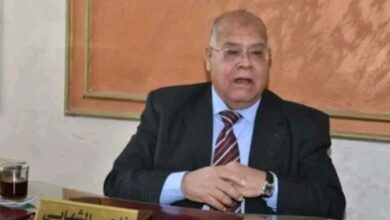 "ناجى الشهابي" يؤكد أن الحبس الاحتياطى يستلزم تخصيص جلسات خاصة لمناقشته