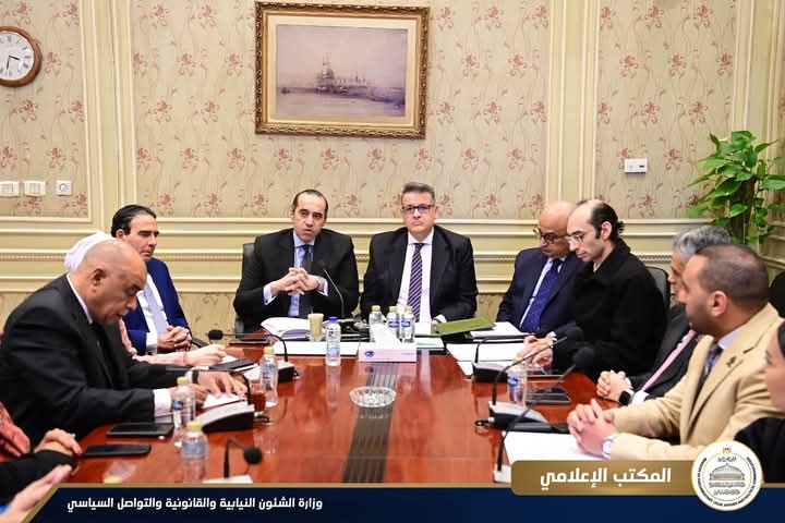 : الدولة المصرية شريك فاعل في المنظومة الدولية لحقوق الإنسان