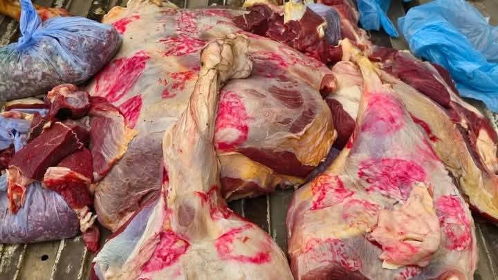 الطب البيطرى بسوهاج يقوم بضبط وإعدام أكثر من نصف طن لحوم فاسده