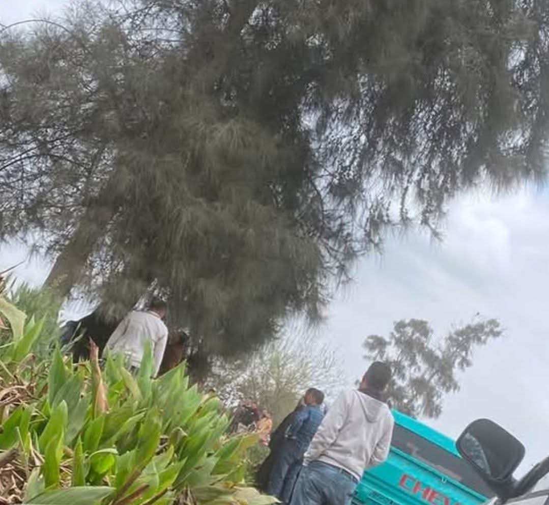 شاب ينهي حياته شنقا بشجره بالشرقيه