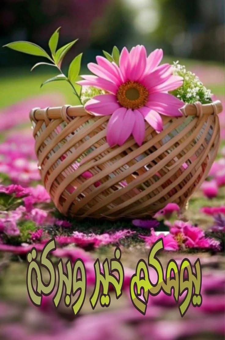 ما يستحب في العيد و آداب العيد 
