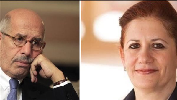 مصرع شقيقة البرادعي وزوجها في حادث