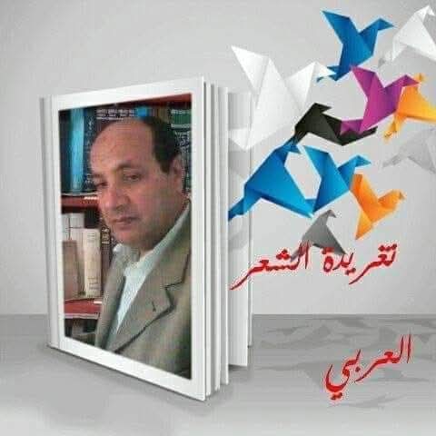 مدخل إلى علم النحو و الصرف