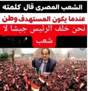 مصريون ونفتخر: الفرح انتصار، ومصر قوية بشعبها وجيشها وقيادتها الحكيمة