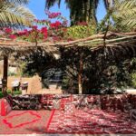 عناقيد العنب
