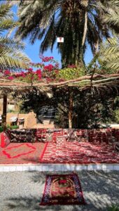 عناقيد العنب