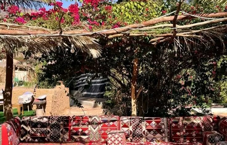 عناقيد العنب