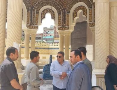 محافظ الدقهلية يتفقد