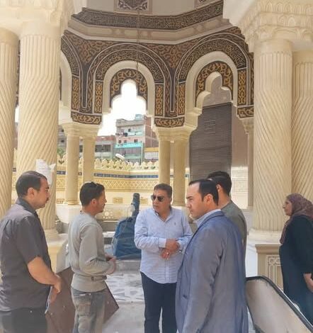 محافظ الدقهلية يتفقد