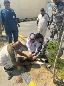 بيئة جدة تنفذ مبادرة لتشجير سجن حداً تعزيزاً لتنمية الغطاء النباتي