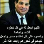 الرؤية الاستراتيجية لسعادة الرئيس عبد الفتاح السيسي الأمن القومي فوق كل شيء