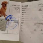 مديرية الطب البيطري بالقليوبية: رخص الكلاب المعدنية متاحة الآن