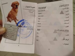 مديرية الطب البيطري بالقليوبية: رخص الكلاب المعدنية متاحة الآن