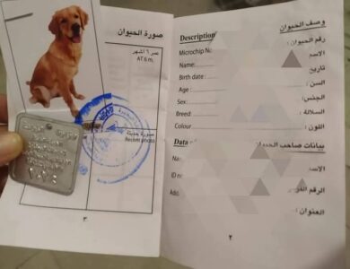 مديرية الطب البيطري بالقليوبية: رخص الكلاب المعدنية متاحة الآن