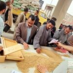 ارتفاع حصيلة توريد القمح المحلي موسم 2025 اليوم الي 21164 طن، 