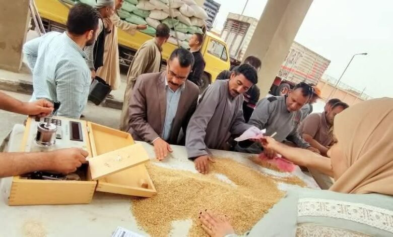 ارتفاع حصيلة توريد القمح المحلي موسم 2025 اليوم الي 21164 طن،