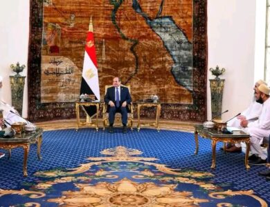 الرئيس السيسى يستقبل سلطان البهرة