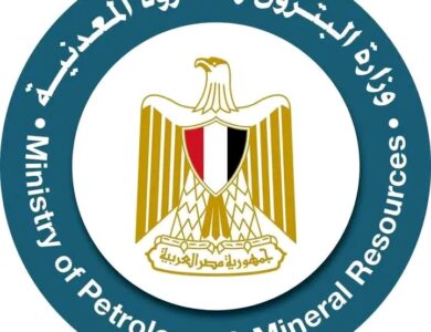 "البترول" تعلن عن نتائج تحاليل عينات البنزين التي أُجريت على مستوى الجمهورية
