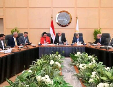 تحويل جميع الموانئ المصرية إلى "موانئ خضراء"