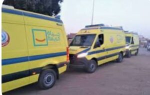 حادث تصادم مروع في الفيوم يُسفر عن إصابة 4 أشخاص
