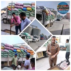 البحيرة:توريد أكثر من ٢٥٤ ألف طن قمح حتى صباح اليوم